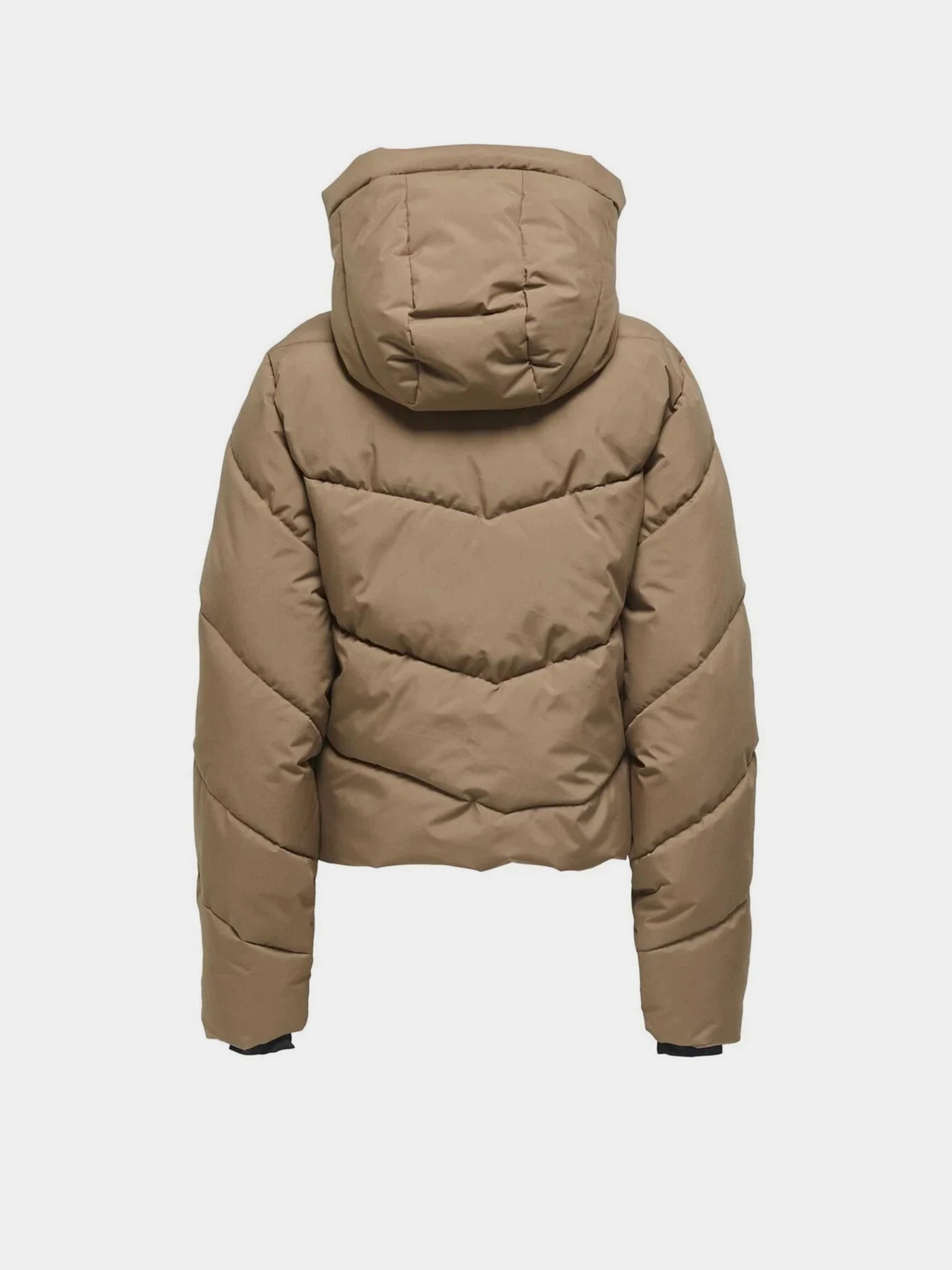 Куртки и дубленки Only HARPER LIFE SHORT PREMIUM JACK модель 15352037_Cocoa Creme Куртки и дубленки Only HARPER LIFE SHORT PREMIUM JACK модель 15352037_Cocoa Creme Фото
