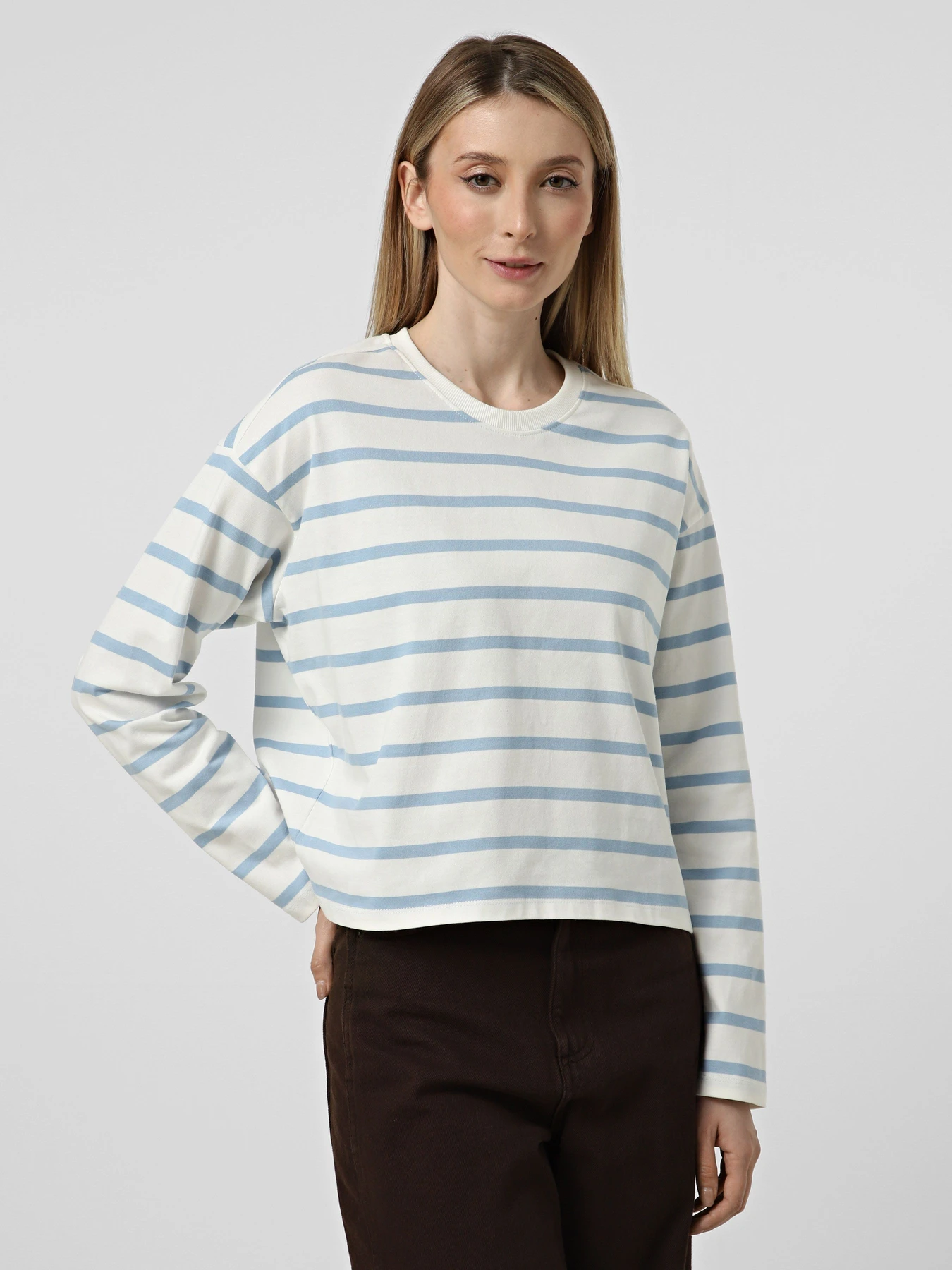 Худі та світшоти Only SOPH L/S STRIPE TOP модель 15310399_Cloud Dancer Soft chambray Худі та світшоти Only SOPH L/S STRIPE TOP модель 15310399_Cloud Dancer Soft chambray Фото