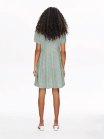 Сукні Only ZALLY LIFE S/S THEA DRESS модель 15262674_Chinois Green White leafs Фото
