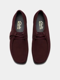 Туфли и лоферы Clarks модель 26184611 Фото