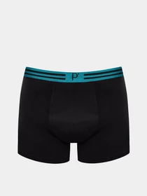 Нижня білизна Penti модель PLBCX60124IY-MIX Фото