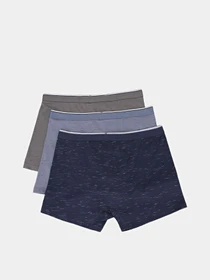 Нижня білизна Penti модель PLW0J14H25IY-MIX Фото