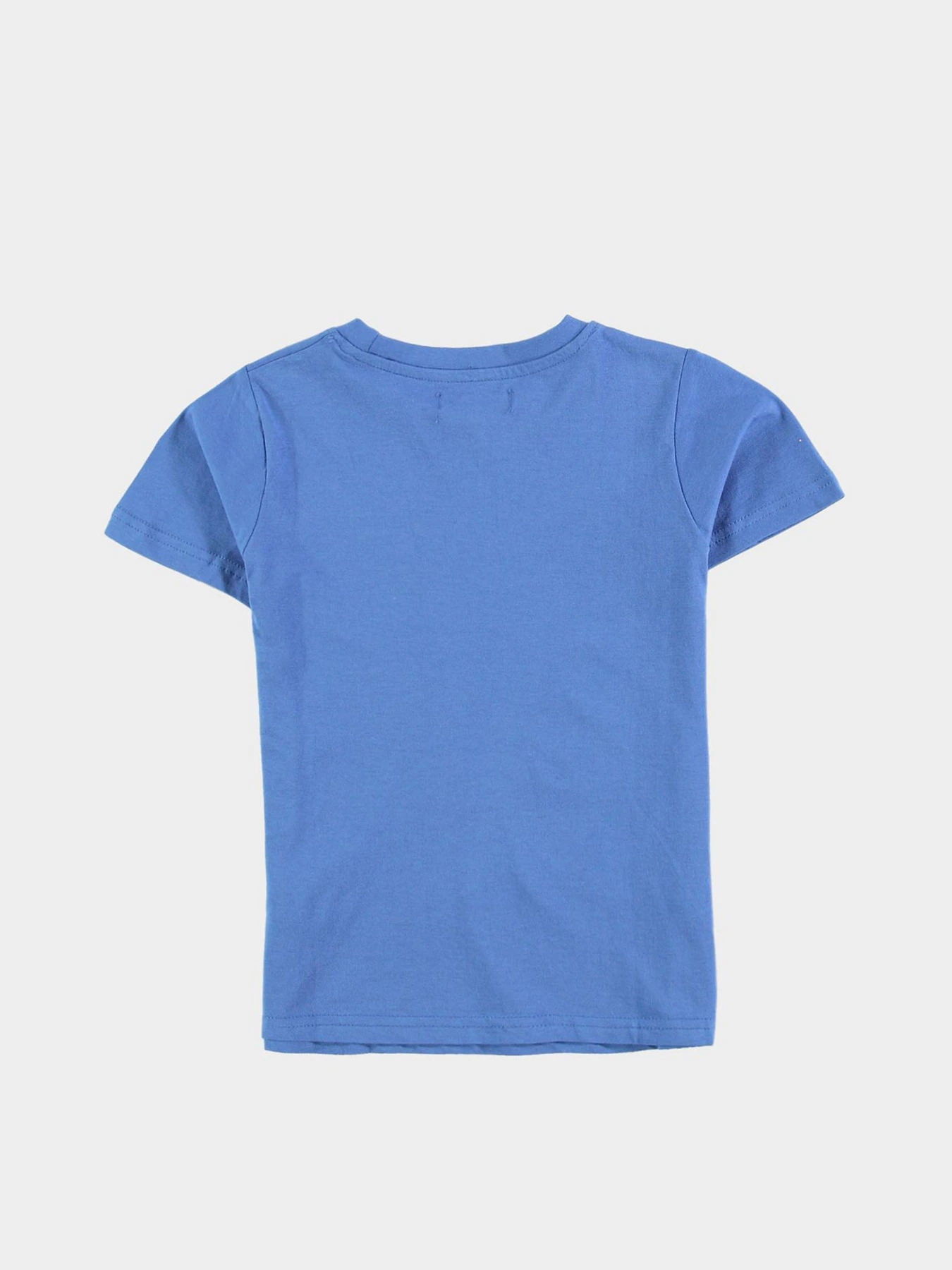 Футболки і поло Piazza Italia модель 01995_cobalt Фото