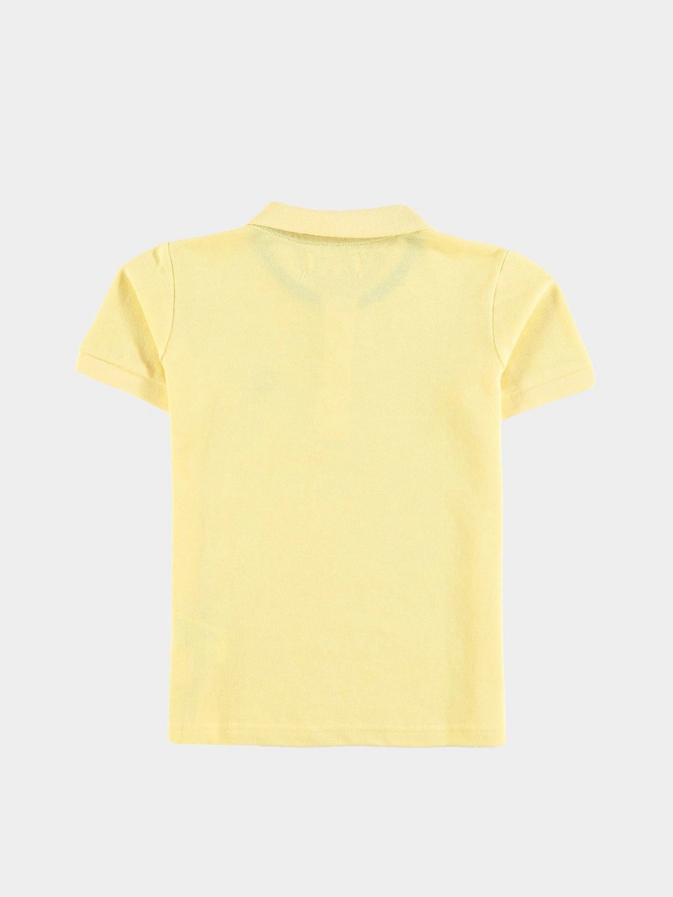 Футболки і поло Piazza Italia модель 02030_yellow Футболки і поло Piazza Italia модель 02030_yellow Фото
