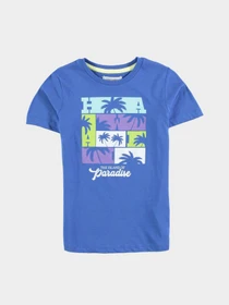 Футболки и поло Piazza Italia модель 02816_cobalt Фото