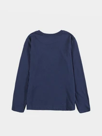 Худи и свитшоты Piazza Italia модель 04705_blue Фото
