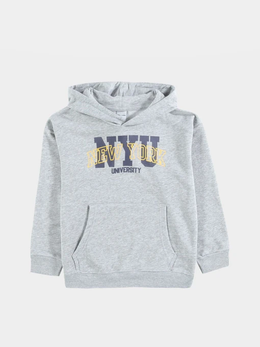 Худі та світшоти Piazza Italia модель 05549_grey melange Фото