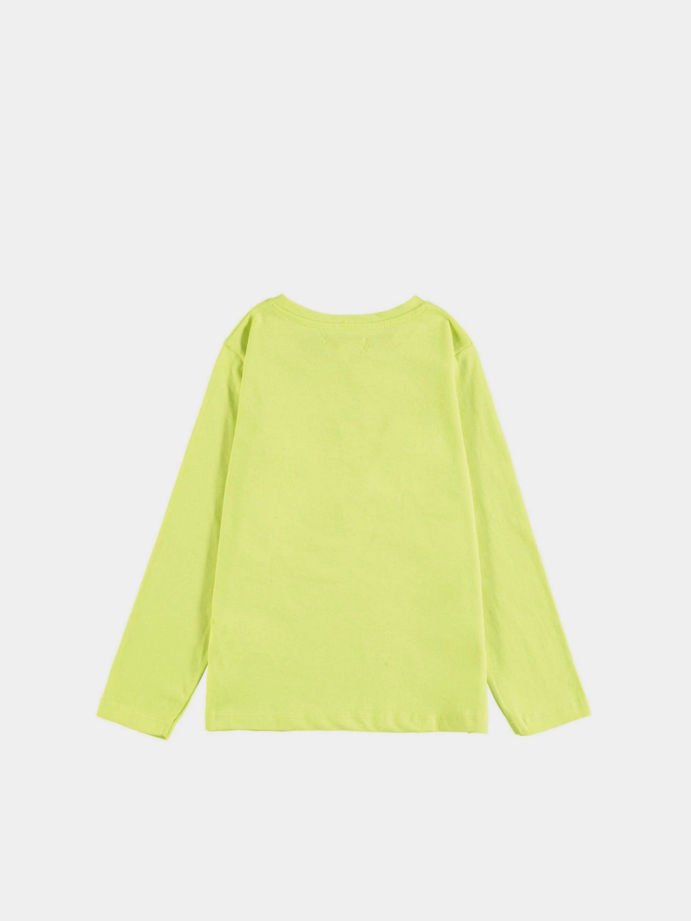 Худи и свитшоты Piazza Italia модель 56072_acid green Худи и свитшоты Piazza Italia модель 56072_acid green Фото