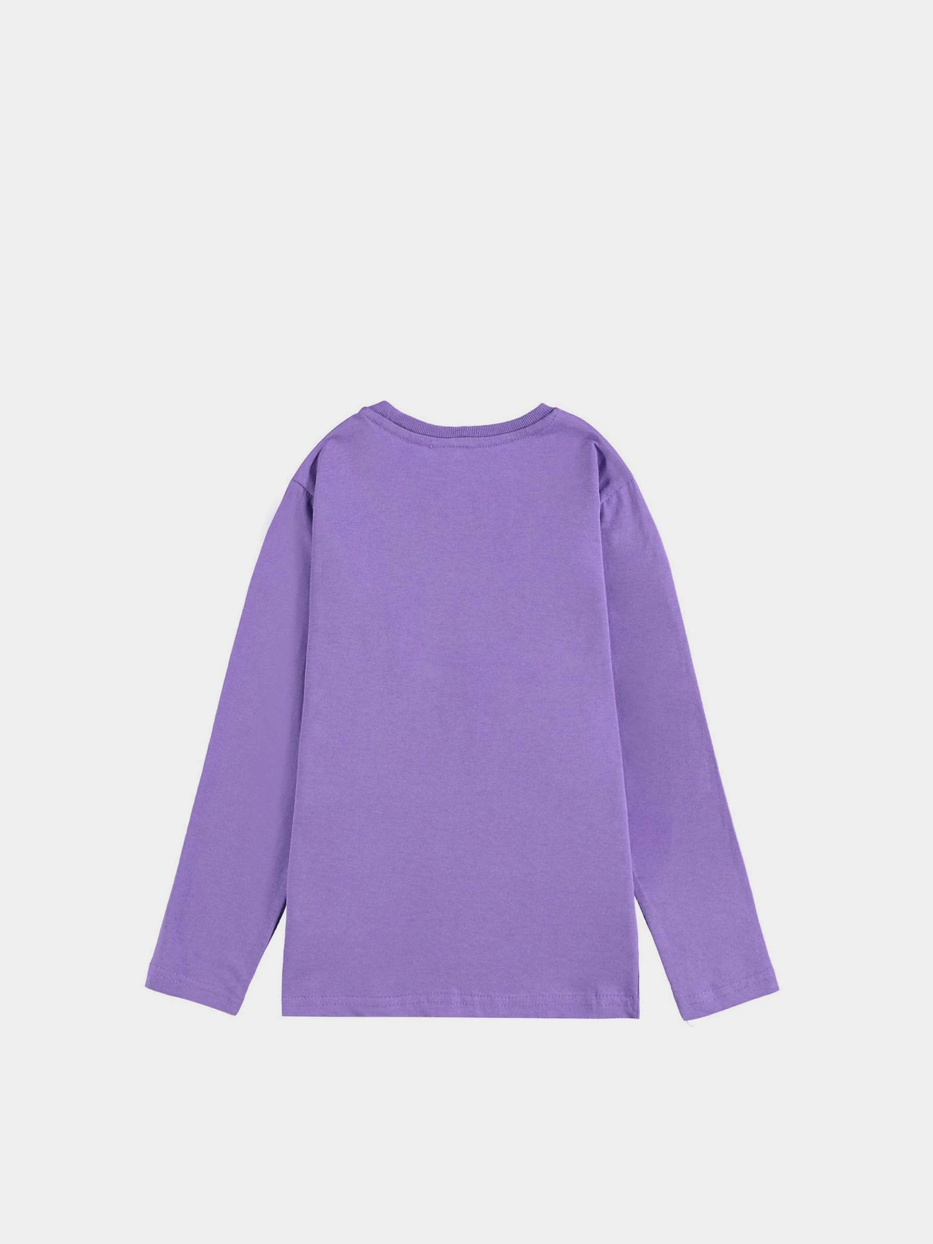 Худи и свитшоты Piazza Italia модель 56076_violet Худи и свитшоты Piazza Italia модель 56076_violet Фото