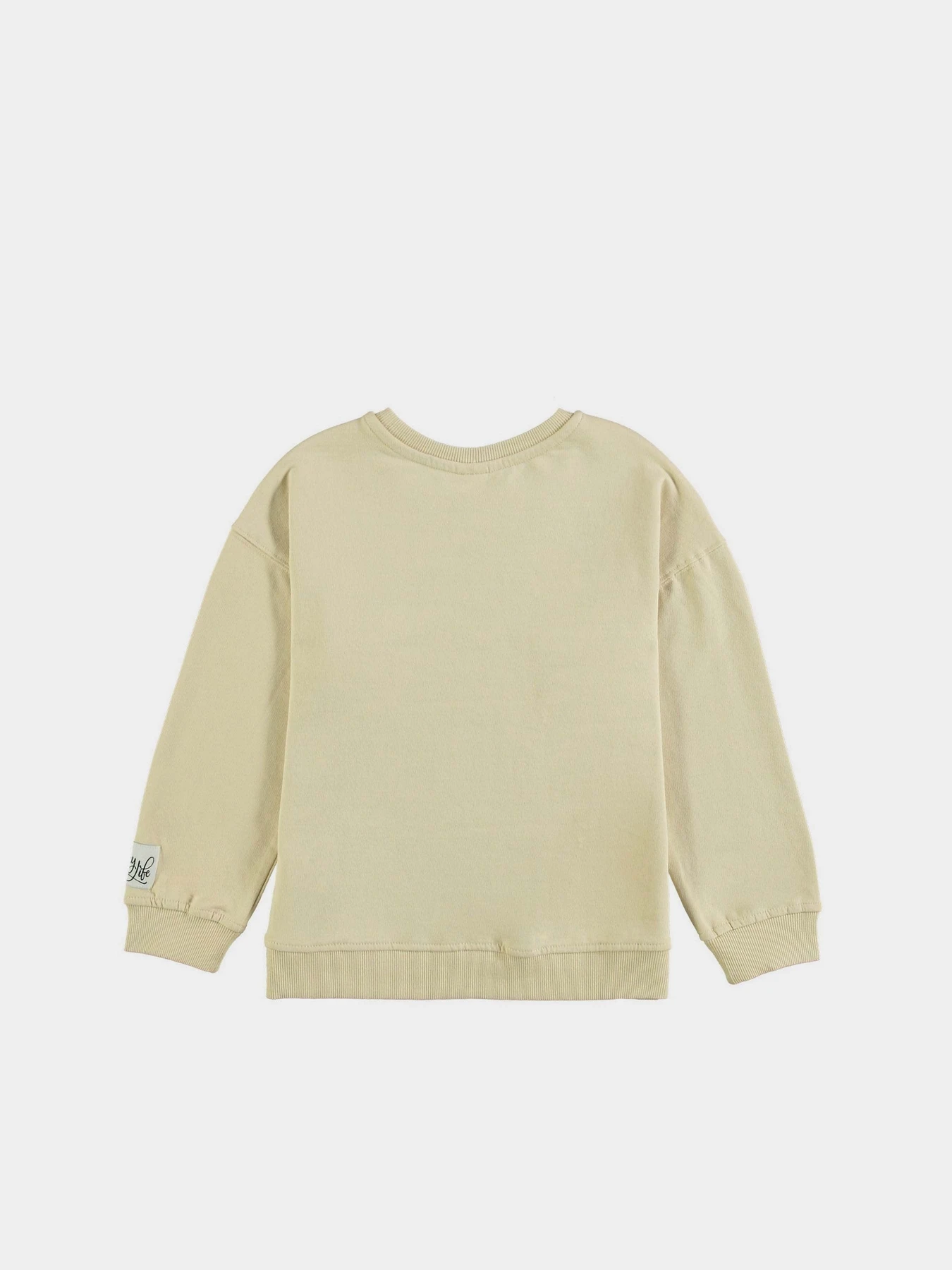 Худи и свитшоты Piazza Italia модель 56330_beige Худи и свитшоты Piazza Italia модель 56330_beige Фото