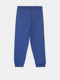 Штани Piazza Italia модель 56075_blue Фото