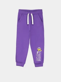Штани Piazza Italia модель 56075_violet Фото