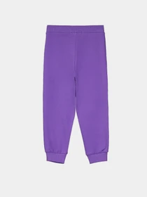 Штани Piazza Italia модель 56075_violet Фото