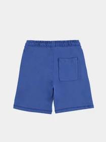 Шорты Piazza Italia модель 82174_blue Фото