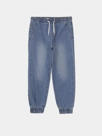 Брюки Piazza Italia модель 07702_Denim Фото