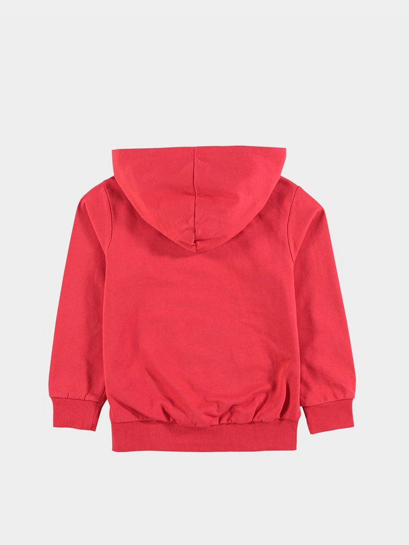 Худи и свитшоты Piazza Italia модель 70896_red Худи и свитшоты Piazza Italia модель 70896_red Фото