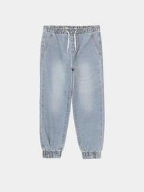 Брюки Piazza Italia модель 07702_light denim Фото