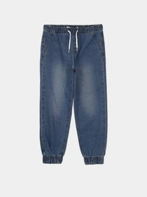 Брюки Piazza Italia модель 07702_dark denim Фото