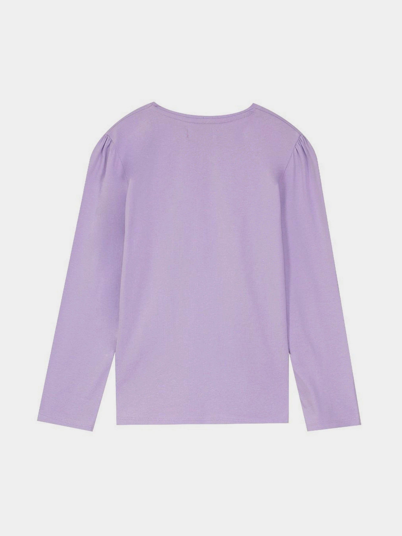 Худи и свитшоты Piazza Italia модель 07798_lilac Худи и свитшоты Piazza Italia модель 07798_lilac Фото