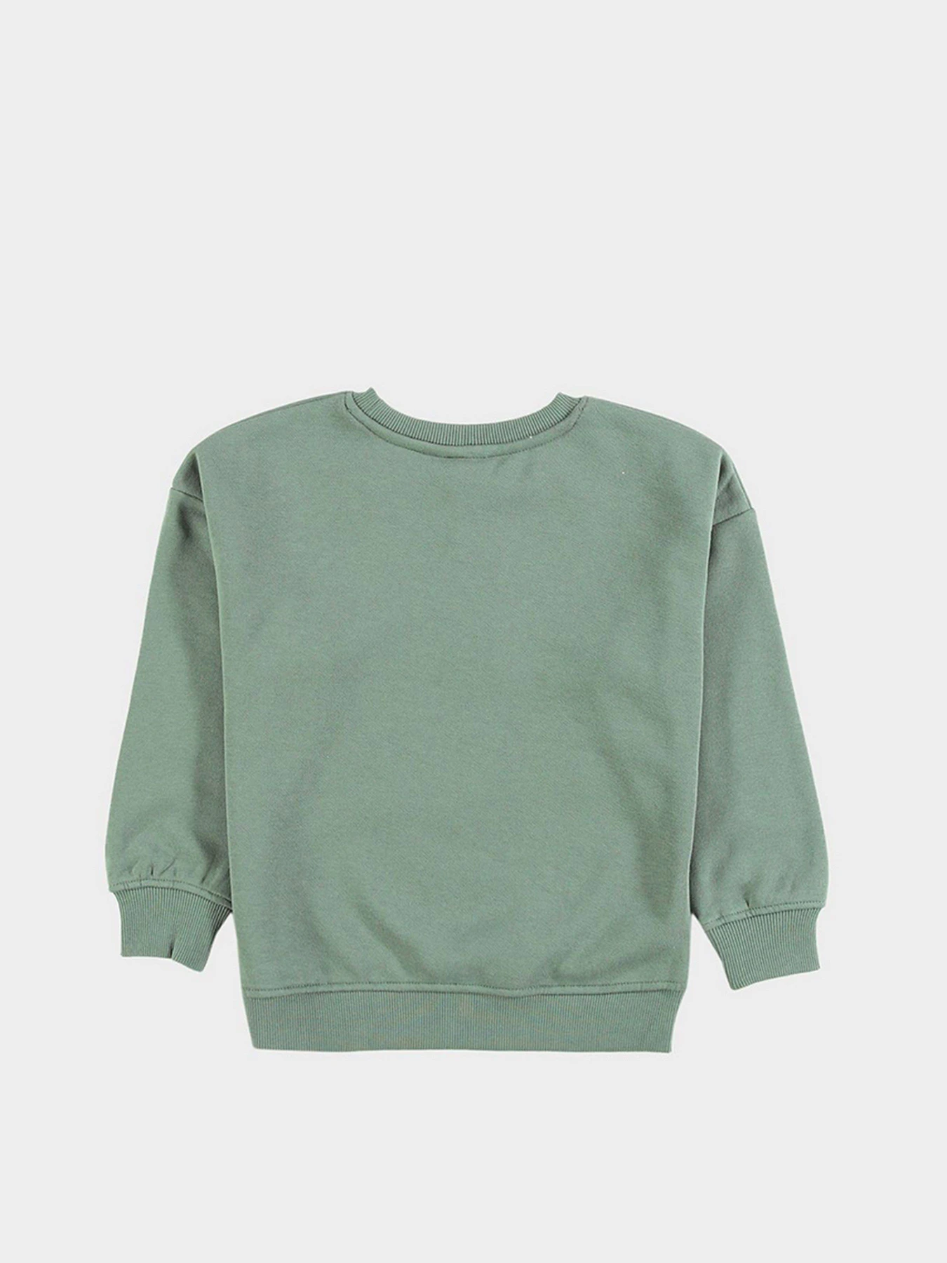 Худи и свитшоты Piazza Italia модель 74300_green Худи и свитшоты Piazza Italia модель 74300_green Фото