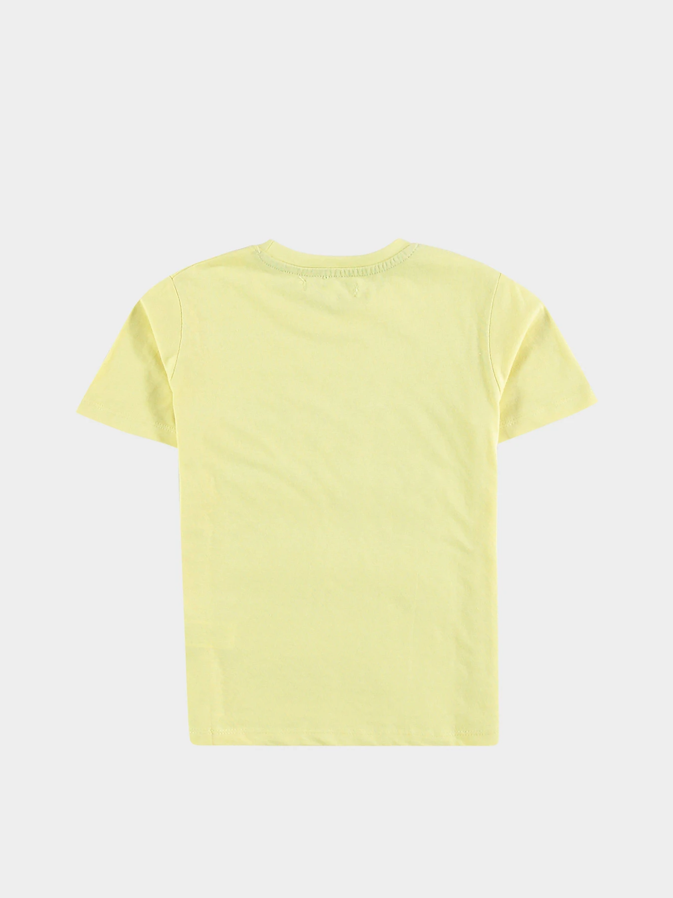 Футболки і поло Piazza Italia модель 01978_yellow Футболки і поло Piazza Italia модель 01978_yellow Фото