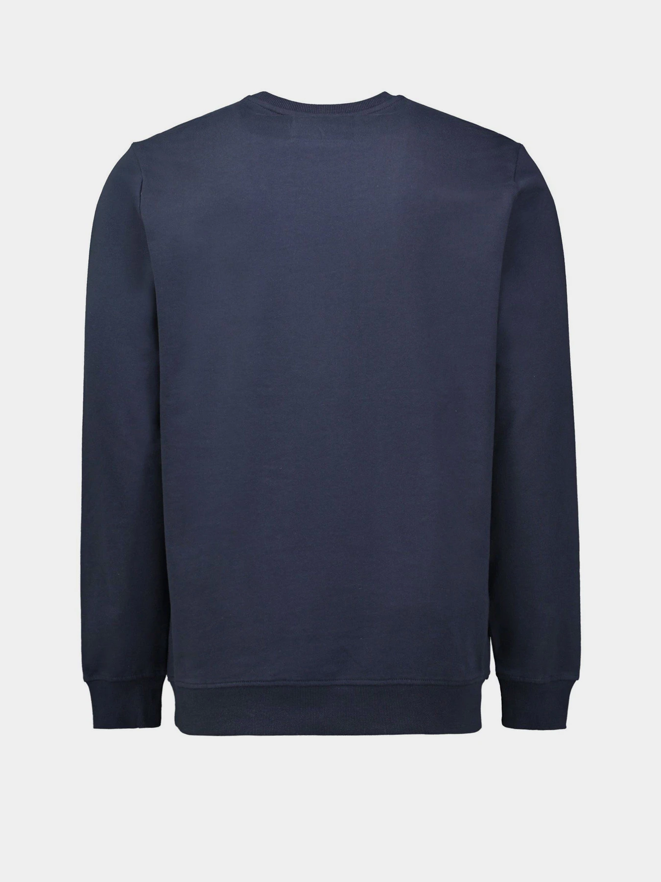 Худи и свитшоты Piazza Italia модель 04194_blue Худи и свитшоты Piazza Italia модель 04194_blue Фото