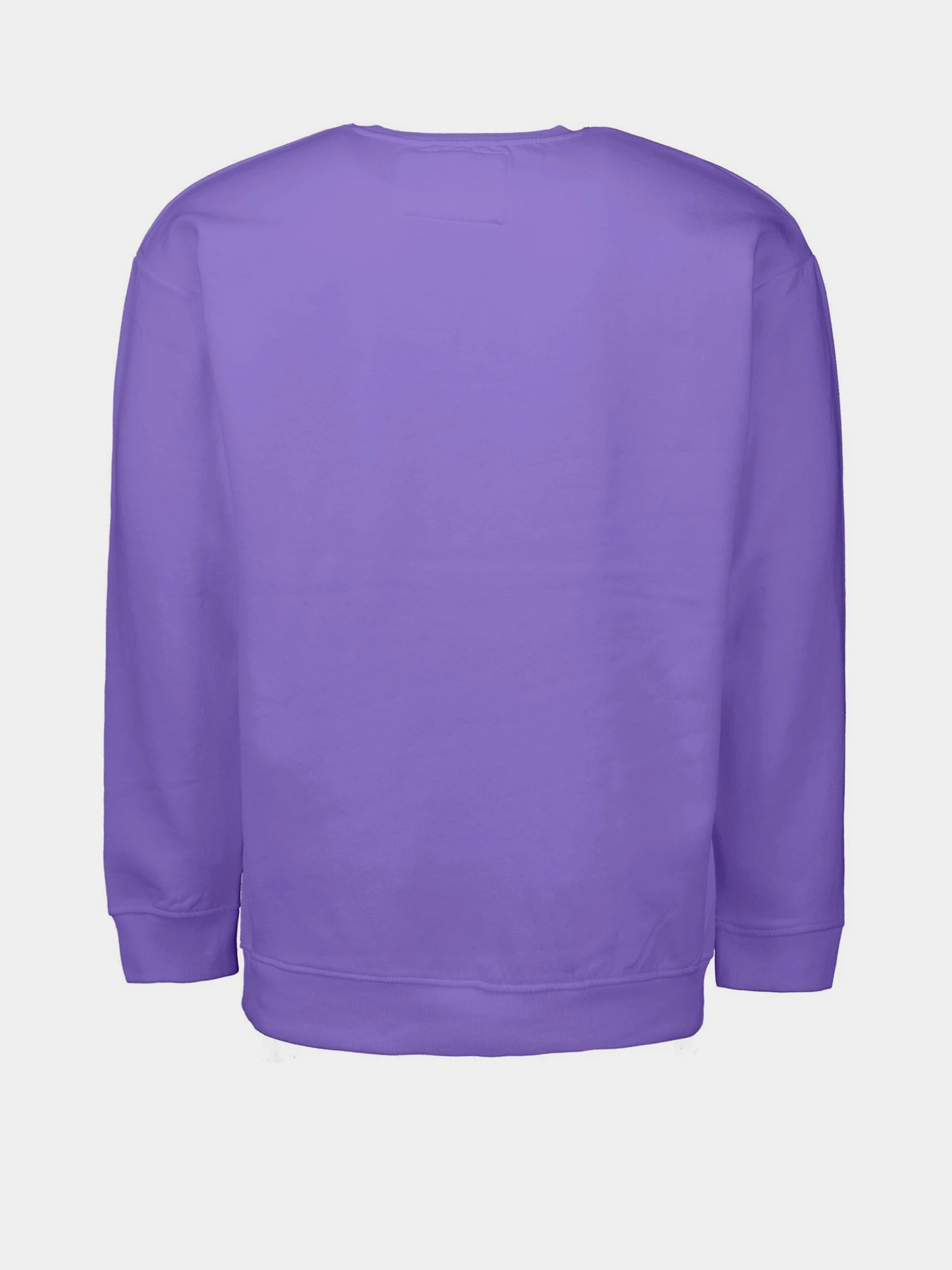 Худі та світшоти Piazza Italia модель 04445_violet Худі та світшоти Piazza Italia модель 04445_violet Фото