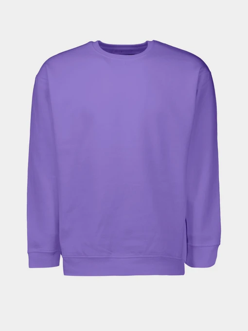Худи и свитшоты Piazza Italia модель 04445_violet Фото