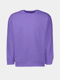 Худі та світшоти Piazza Italia модель 04445_violet Фото