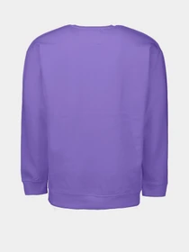 Худі та світшоти Piazza Italia модель 04445_violet Фото