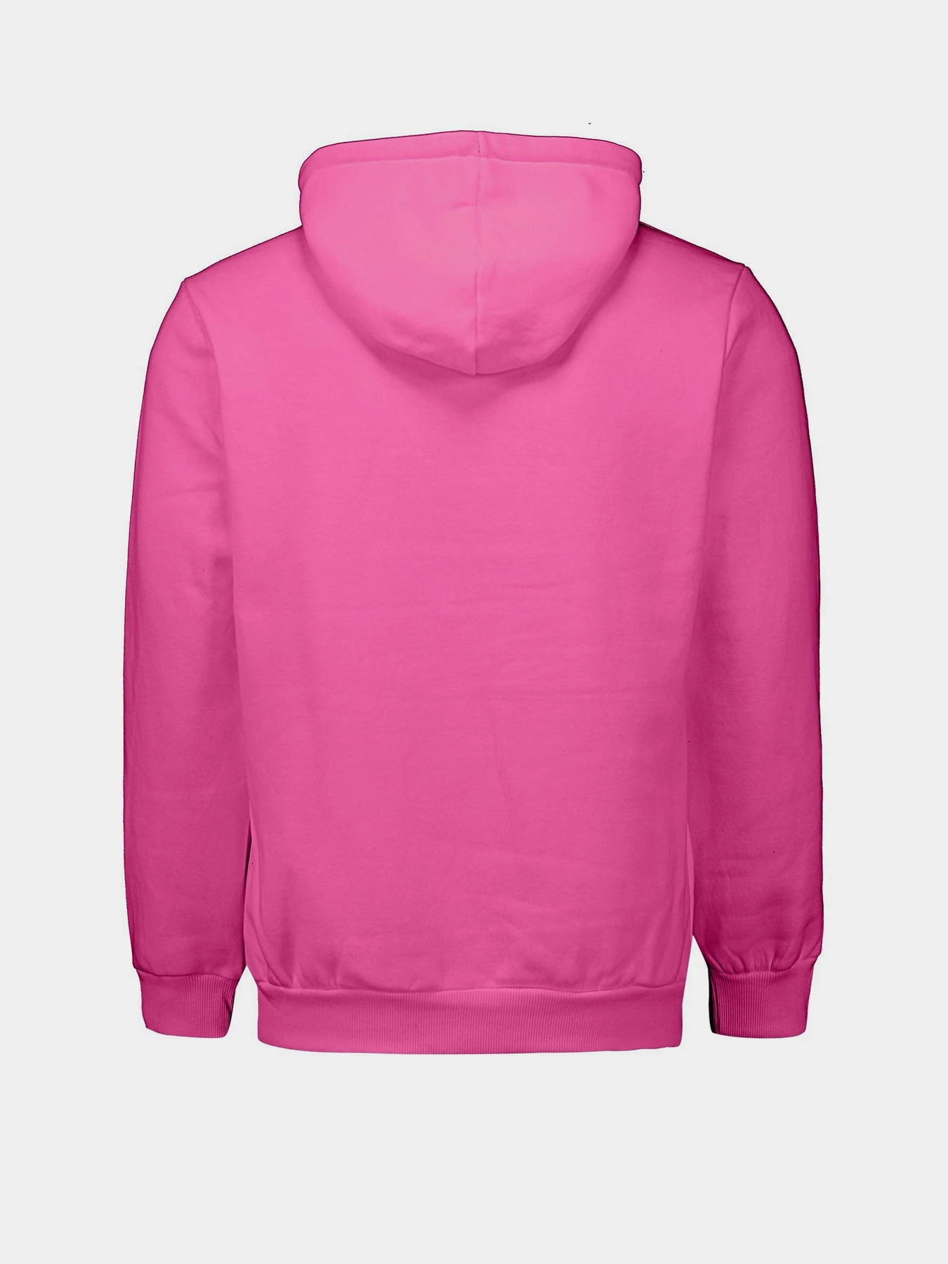 Худи и свитшоты Piazza Italia модель 04481_fuxia Худи и свитшоты Piazza Italia модель 04481_fuxia Фото
