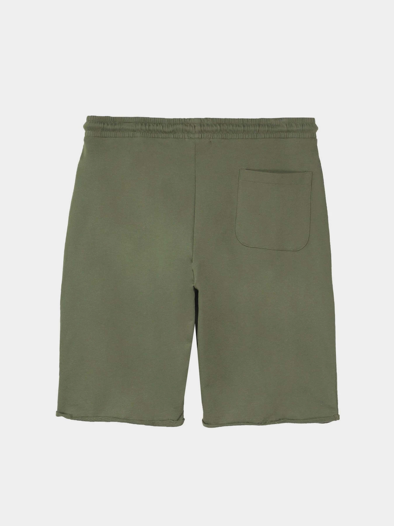 Шорты Piazza Italia модель 87439_army Шорты Piazza Italia модель 87439_army Фото