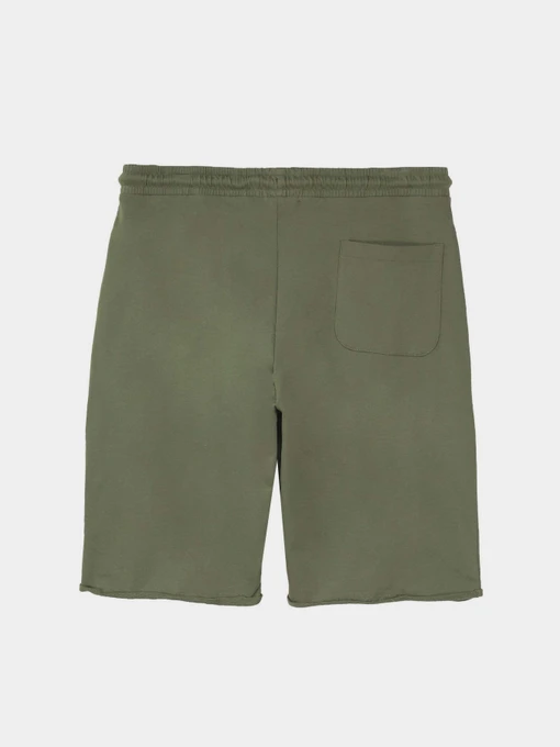 Шорты Piazza Italia модель 87439_army Фото