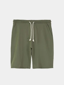 Шорты Piazza Italia модель 87439_army Фото