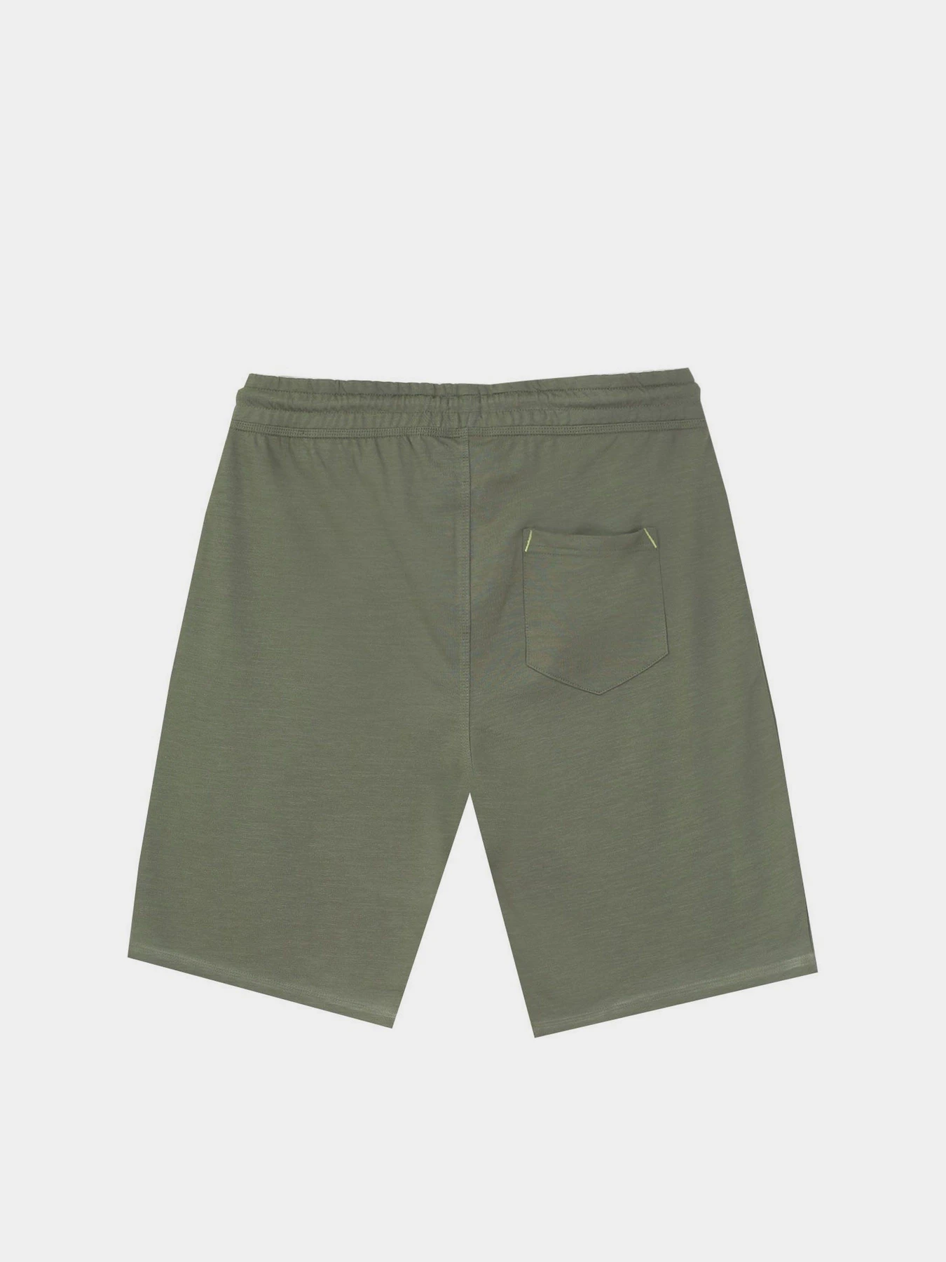 Шорты Piazza Italia модель 06793_army Шорты Piazza Italia модель 06793_army Фото