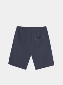 Шорты Piazza Italia модель 06793_blue Фото