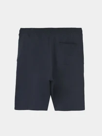Шорты Piazza Italia модель 87230_blue Фото