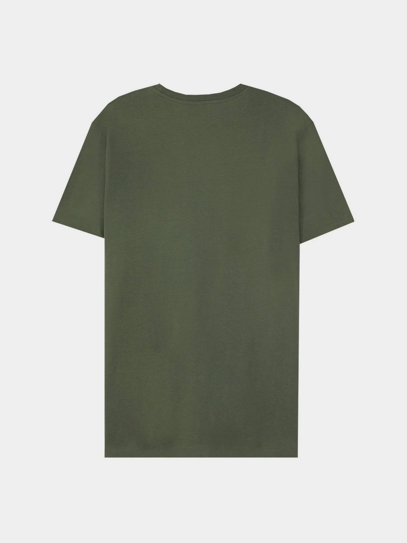 Футболки и поло Piazza Italia модель 99465_army Футболки и поло Piazza Italia модель 99465_army Фото