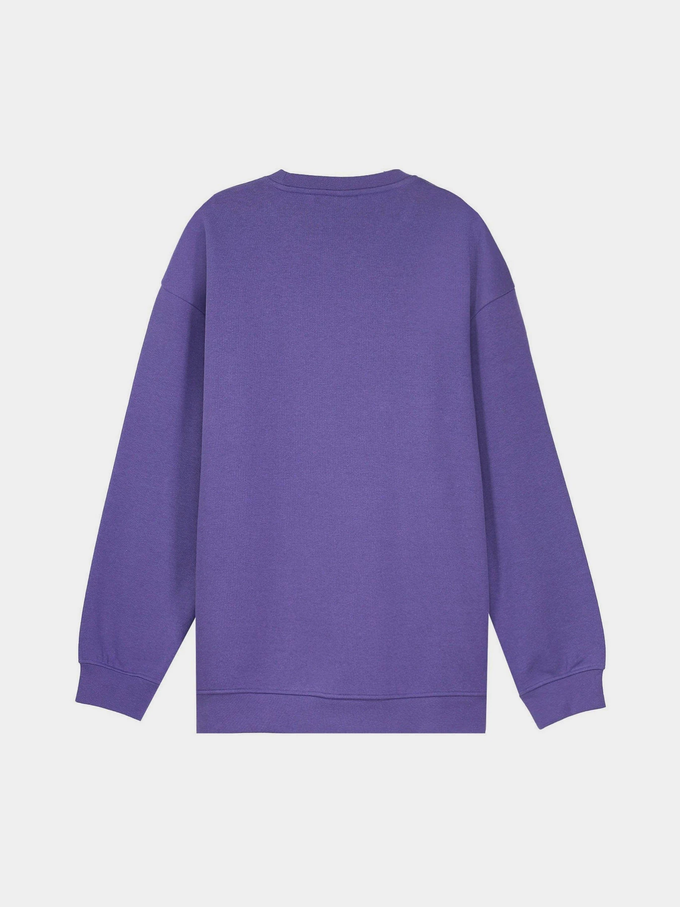 Худи и свитшоты Piazza Italia модель 07520_violet Фото