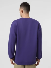 Худи и свитшоты Piazza Italia модель 07520_violet Фото