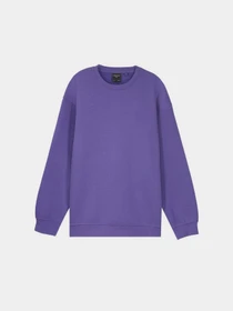 Худи и свитшоты Piazza Italia модель 07520_violet Фото
