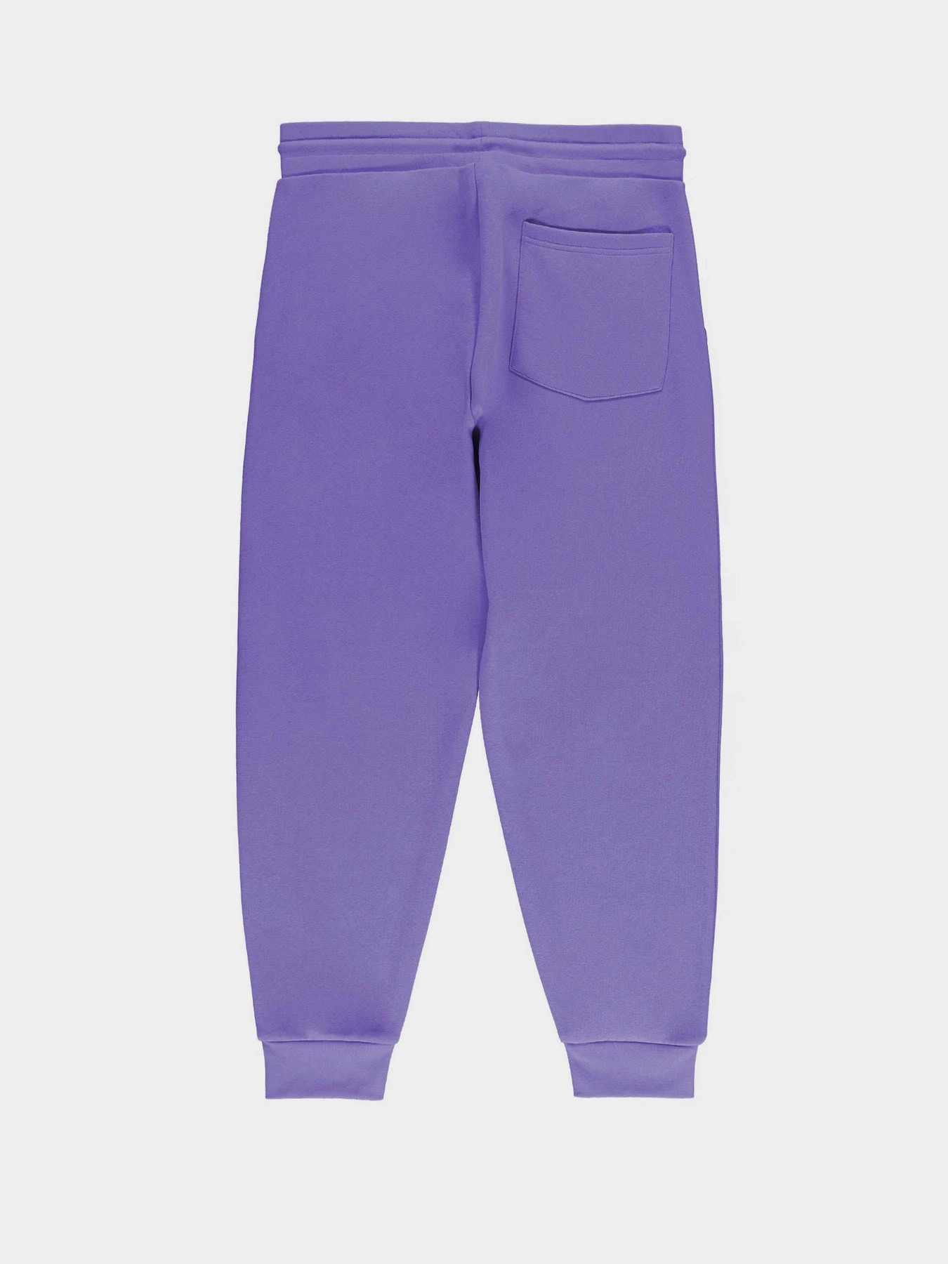 Брюки Piazza Italia модель 07521_violet Брюки Piazza Italia модель 07521_violet Фото