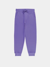Брюки Piazza Italia модель 07521_violet Фото
