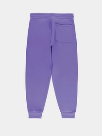 Брюки Piazza Italia модель 07521_violet Фото