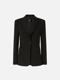 Пиджаки PINKO New Signum модель 104903-A24C Z99 Фото