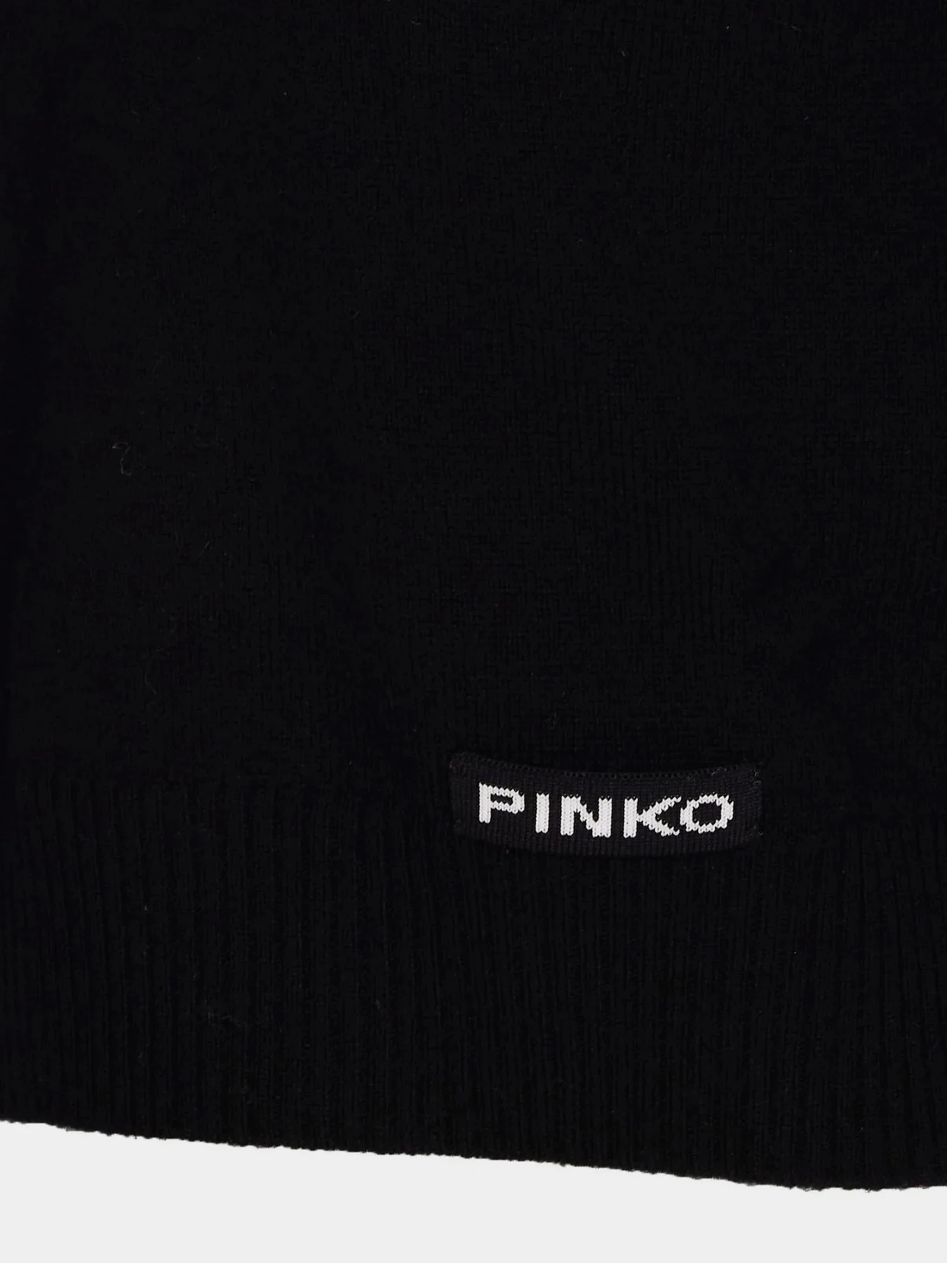 Футболки і поло PINKO Gorgona модель 105450-A2Q9 Z99 Футболки і поло PINKO Gorgona модель 105450-A2Q9 Z99 Фото