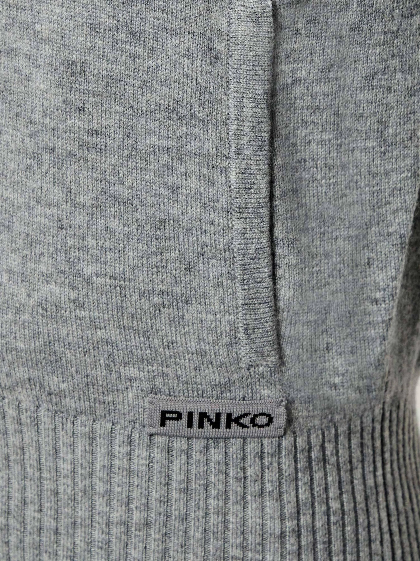 Худи и свитшоты PINKO модель 105491-A2Q9 II2 Худи и свитшоты PINKO модель 105491-A2Q9 II2 Фото