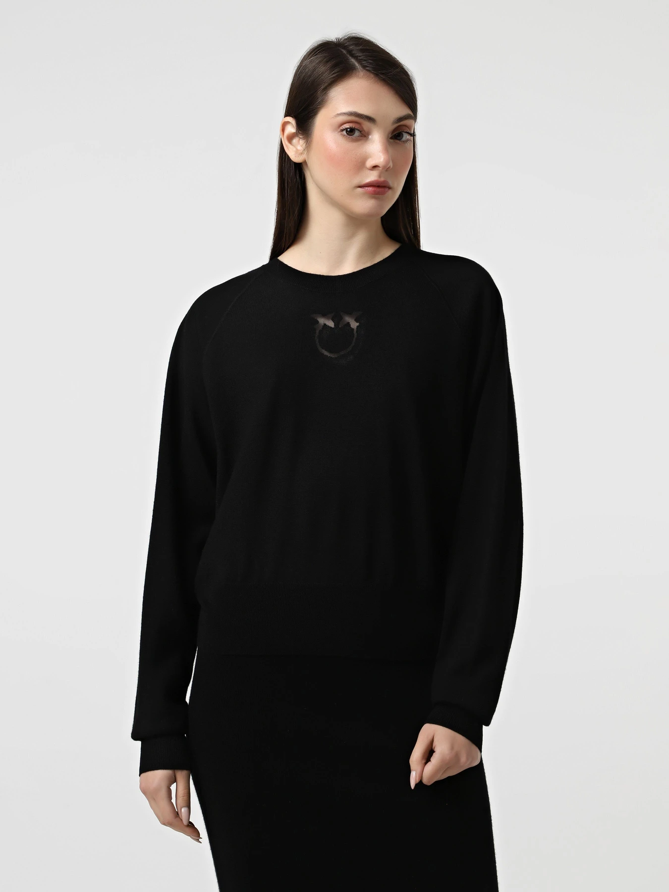 Худи и свитшоты PINKO Lanzarote модель 105417-A18M Z99 Фото