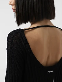 Худи и свитшоты PINKO Leslie Maglia Soft Cotton модель 105302-A2N7 Z99 Фото