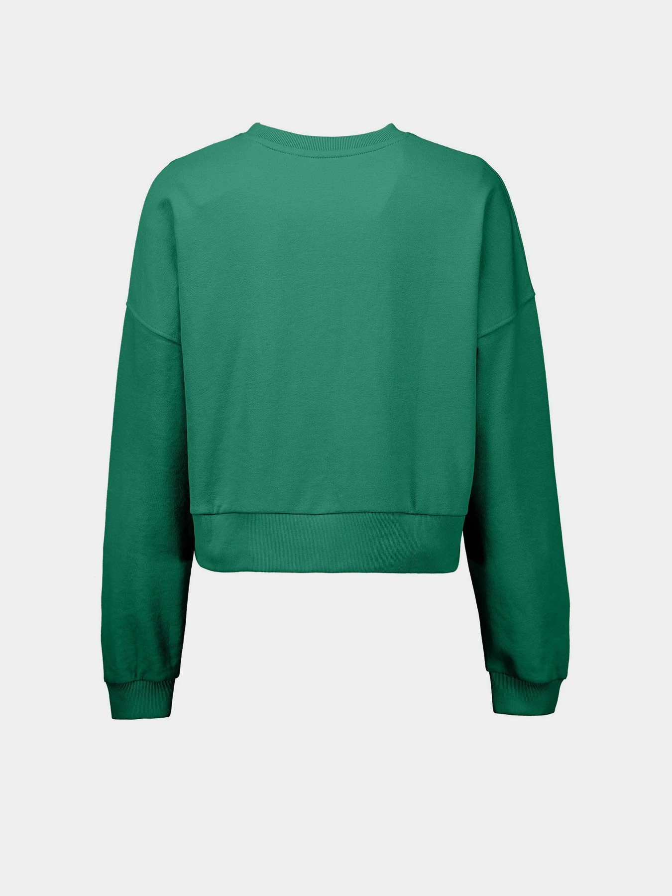 Худи и свитшоты Piazza Italia модель 03255_green Худи и свитшоты Piazza Italia модель 03255_green Фото